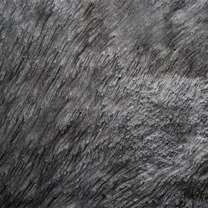 Whale metallic epoxy sample