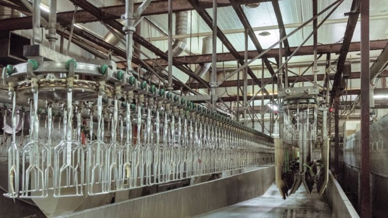Seafood and Meat Processing Flooring | Industrial Coating