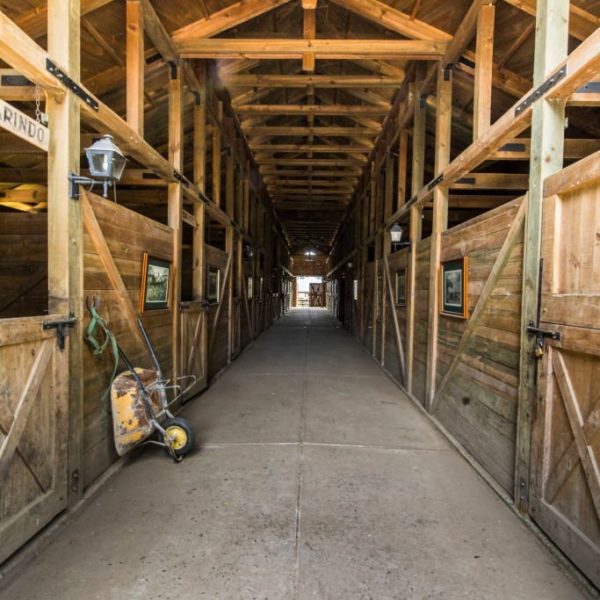 Equestrian Floor Coating | Horse Stall & Stable Flooring Options