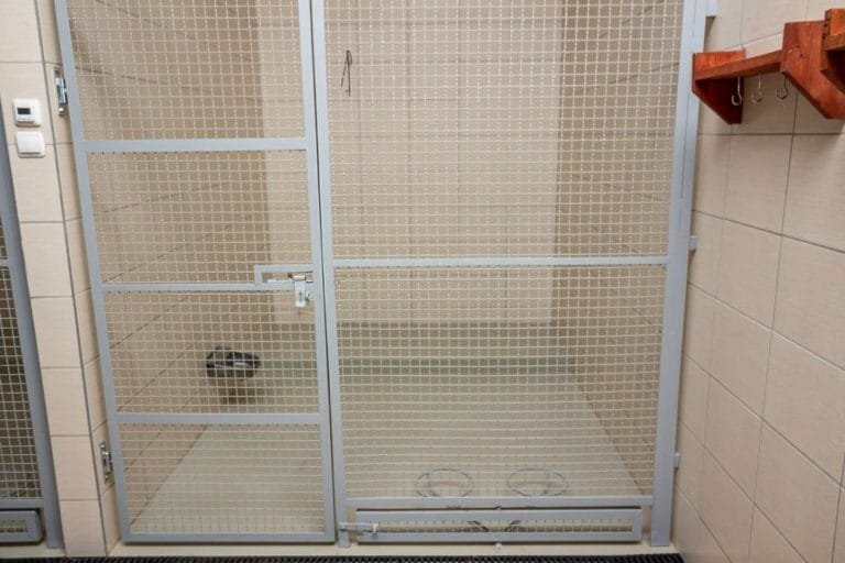 Indoor kennel enclosure with a mesh gate, tiled walls and a floor drain