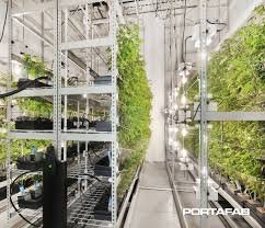 Cannabis grow room with rolling benches and durable non-porous flooring